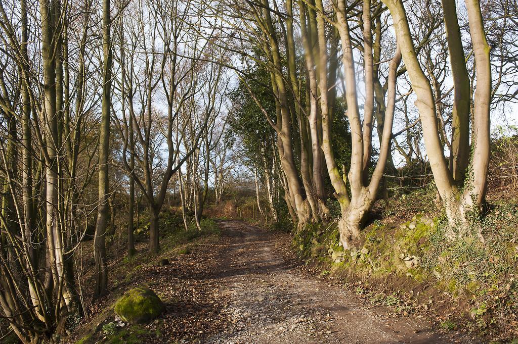 Pheasants Nye Villa Higher Burwardsley Bagian luar foto